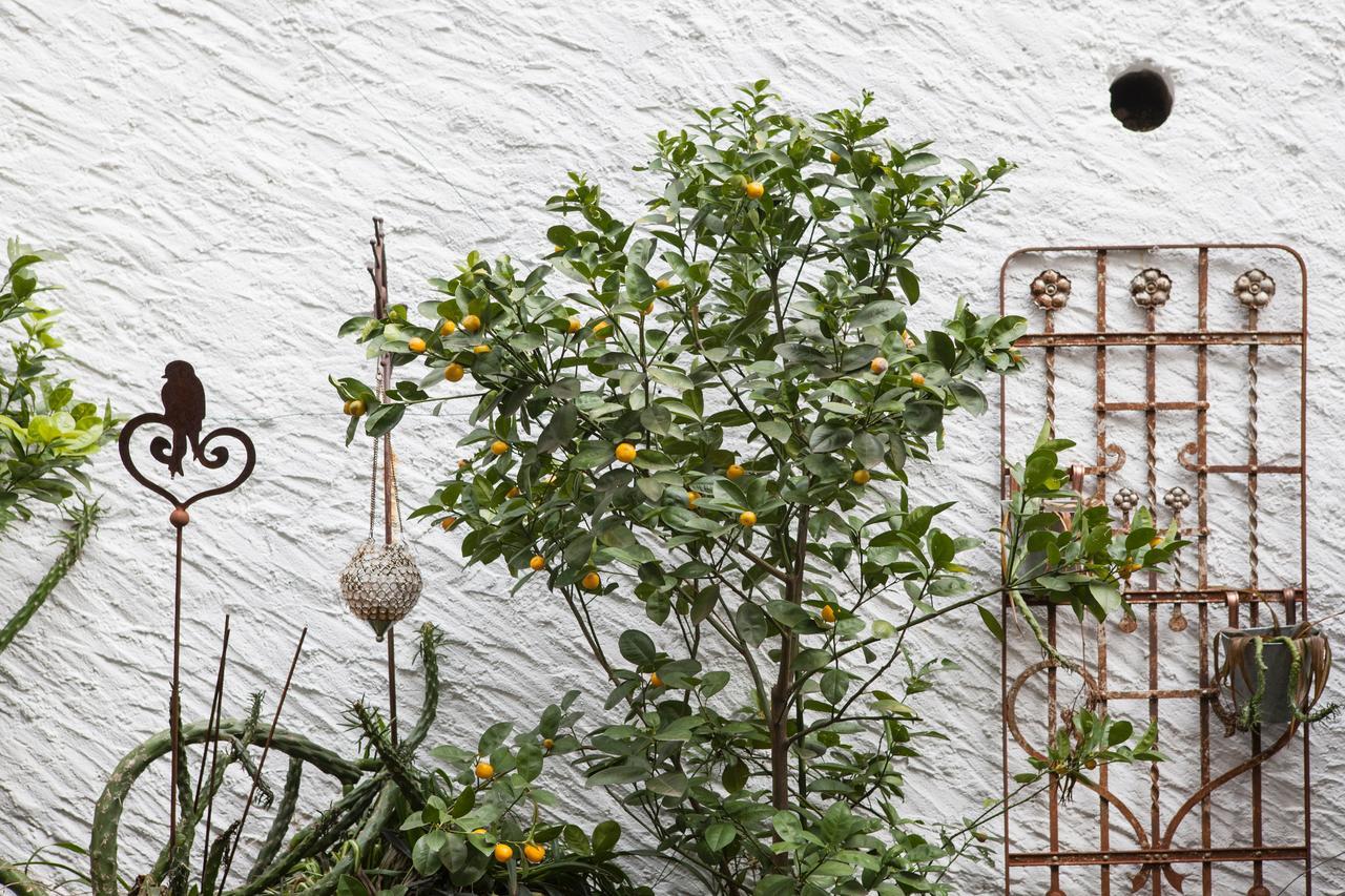 Caffe Dell'Arte Boutique Rooms Locarno Exterior foto